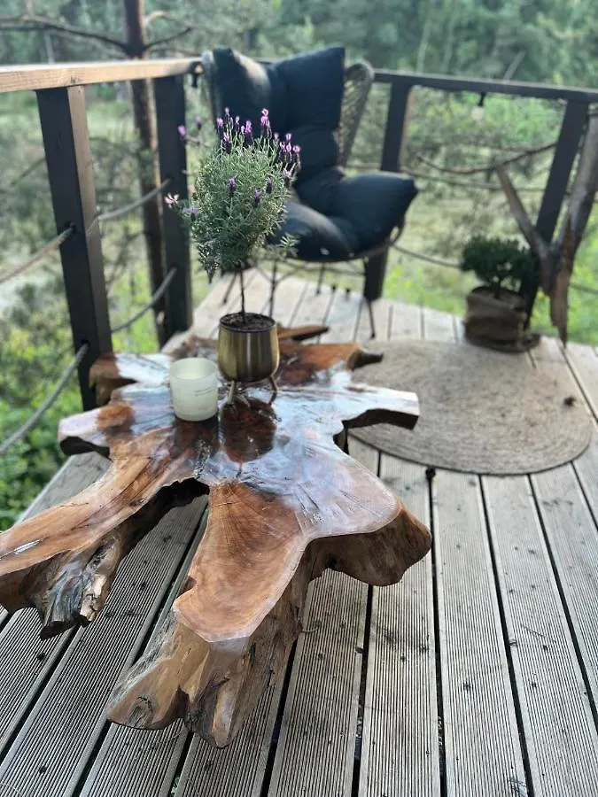 Nocleg ze śniadaniem MY TREE HOME Warszawa, Macierowe Bagno Polska