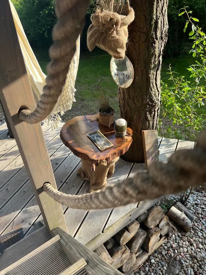Nocleg ze śniadaniem MY TREE HOME Warszawa, Macierowe Bagno Polska