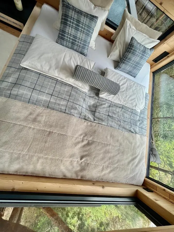 Bed & Breakfast My Tree Home Warszawa, Macierowe Bagno