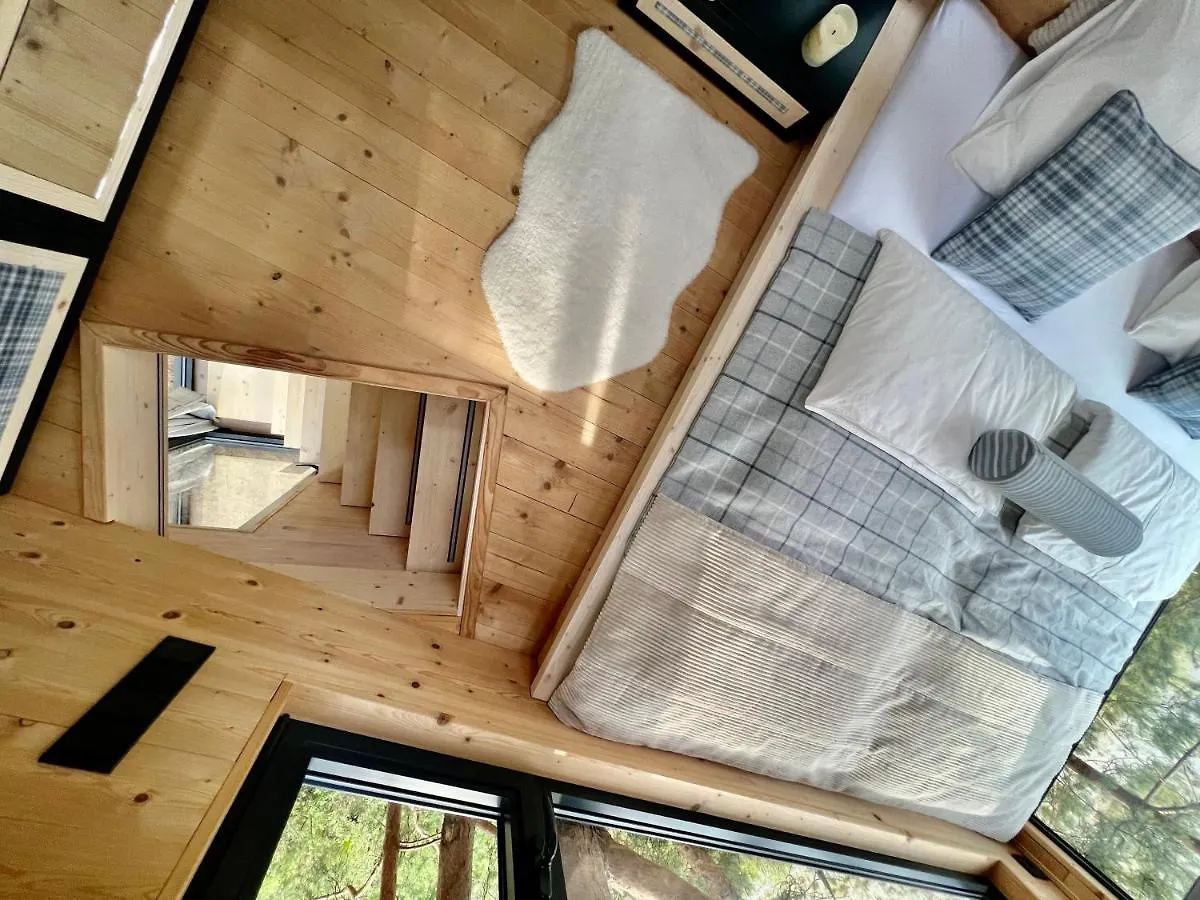 My Tree Home Warszawa, Macierowe Bagno Bed & Breakfast Warsaw