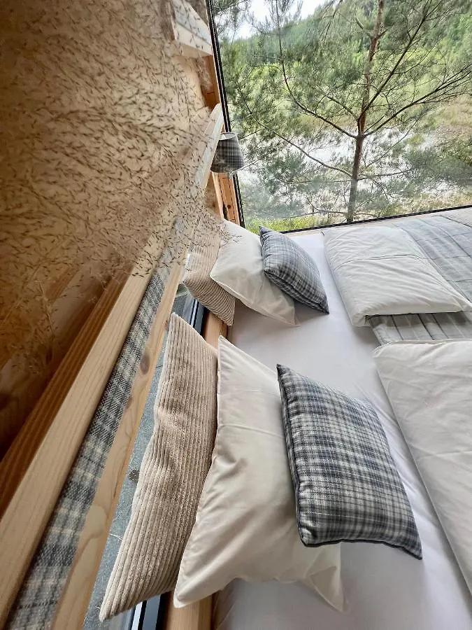 My Tree Home Warszawa, Macierowe Bagno Bed & Breakfast
