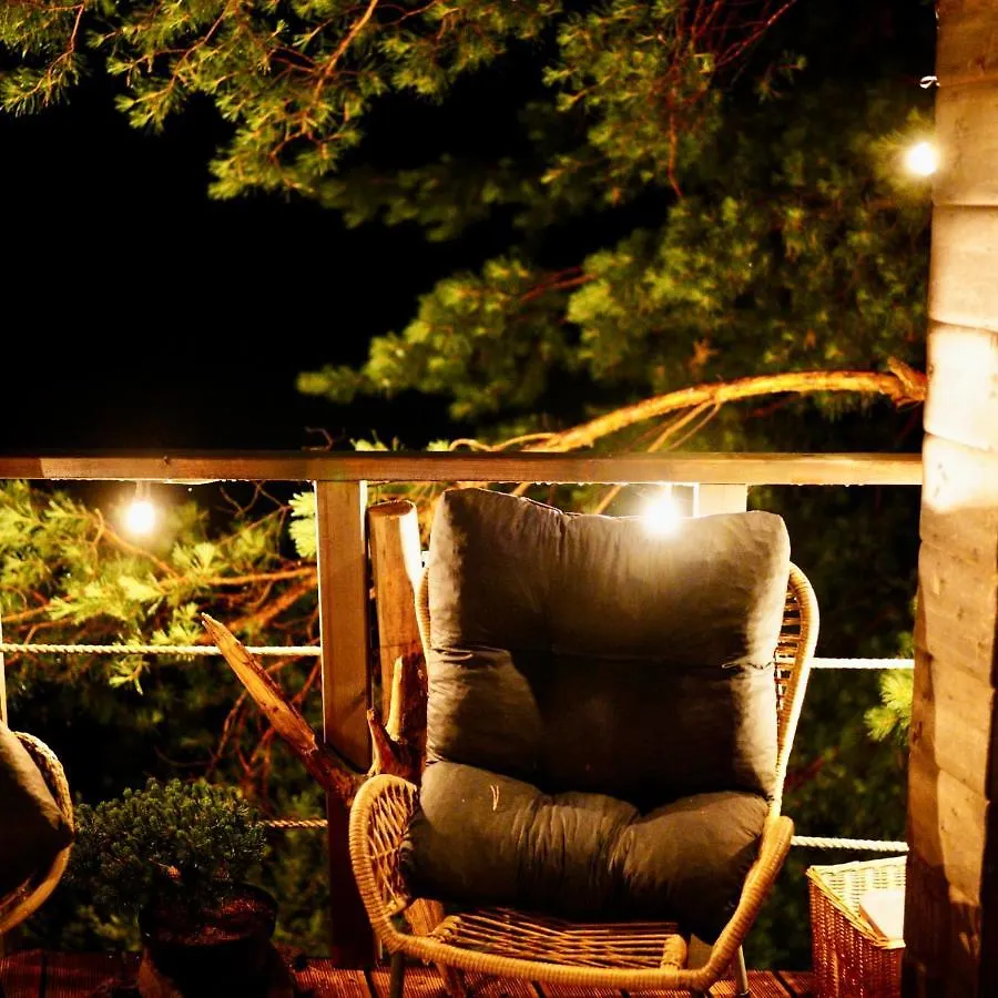 My Tree Home Warszawa, Macierowe Bagno Bed & Breakfast Warsaw